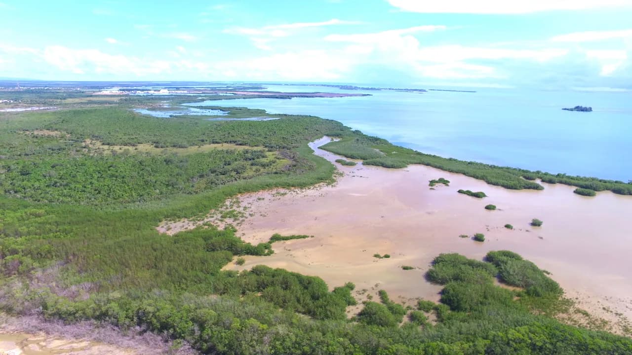 PL0007 – Property of 117 acres in close proximity to Harvest Caye. - Photo 3