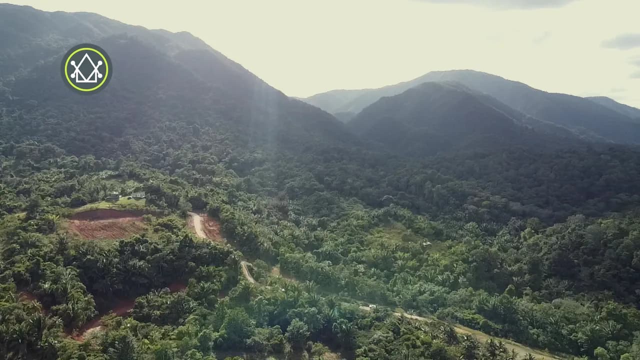 PF0038 – 30 Acres Hummingbird Highway