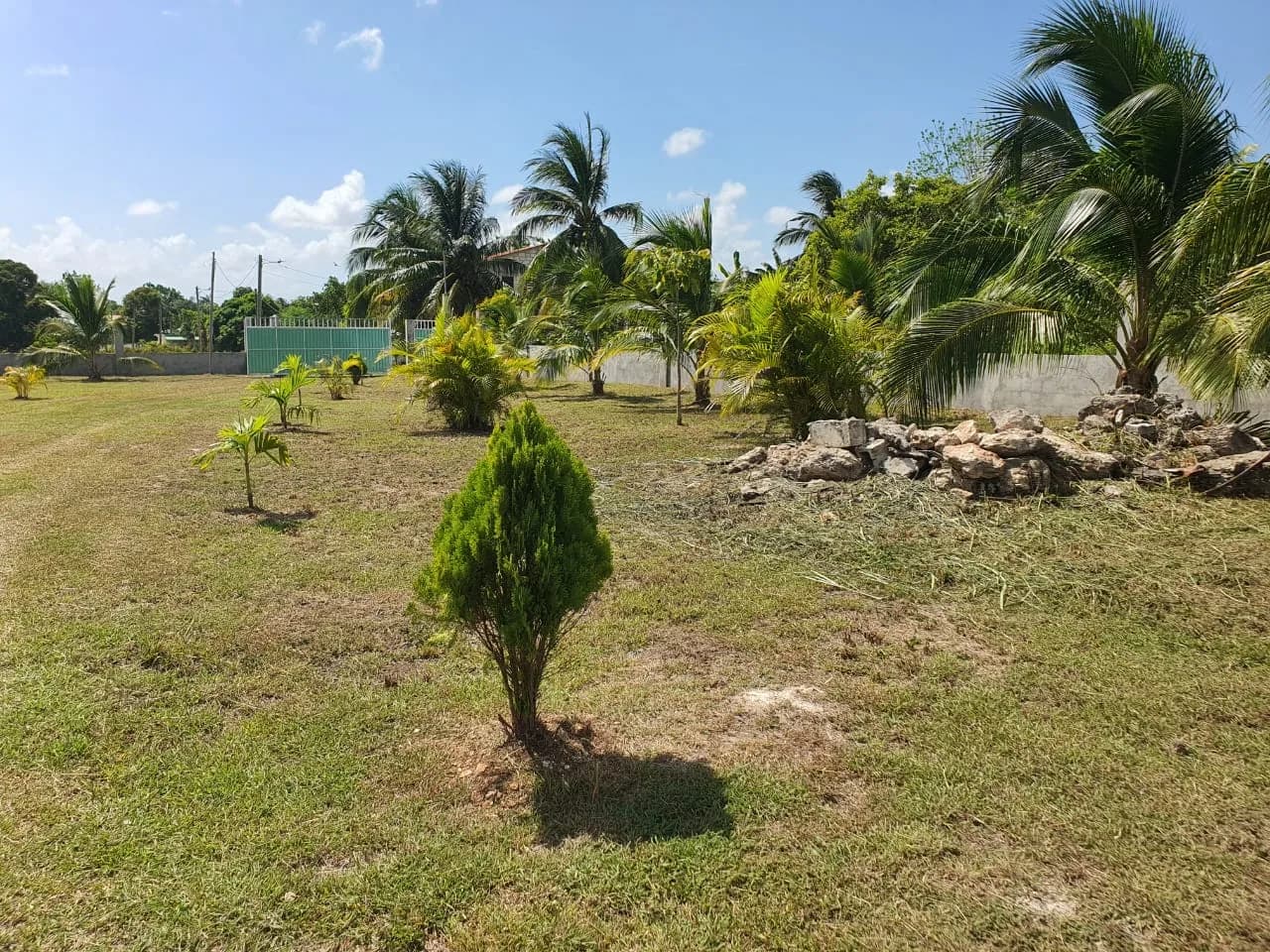 PH0051 – 1.8 Acres with Unfinished Structure – Calcutta, Corozal - Photo 8