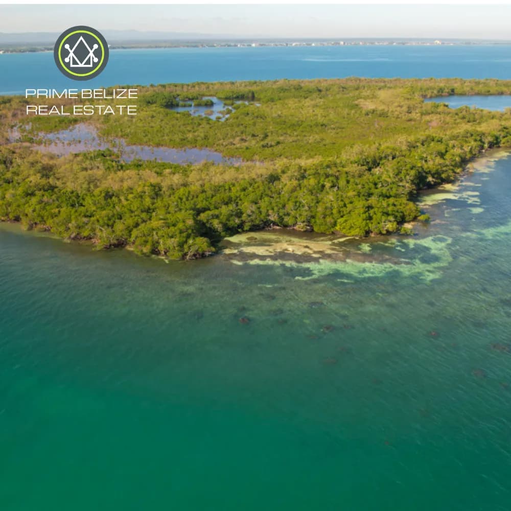 PI0014 – Exclusive Development Opportunity: 43.8-Acre False Caye Island, Just Off Placencia’s Coast - Photo 2