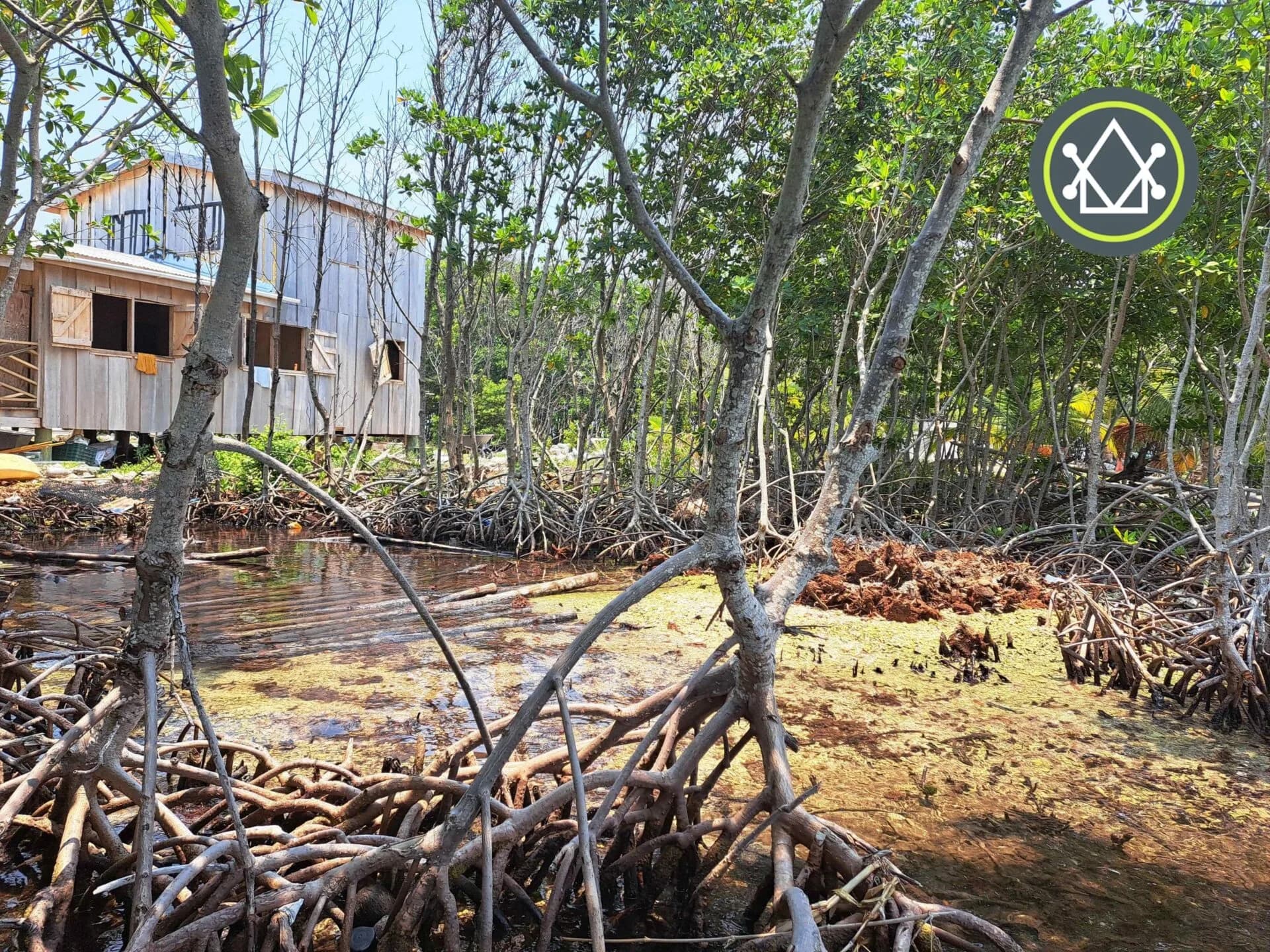 PI0029 – Dorado Caye 5+ acre Private Island - Photo 3