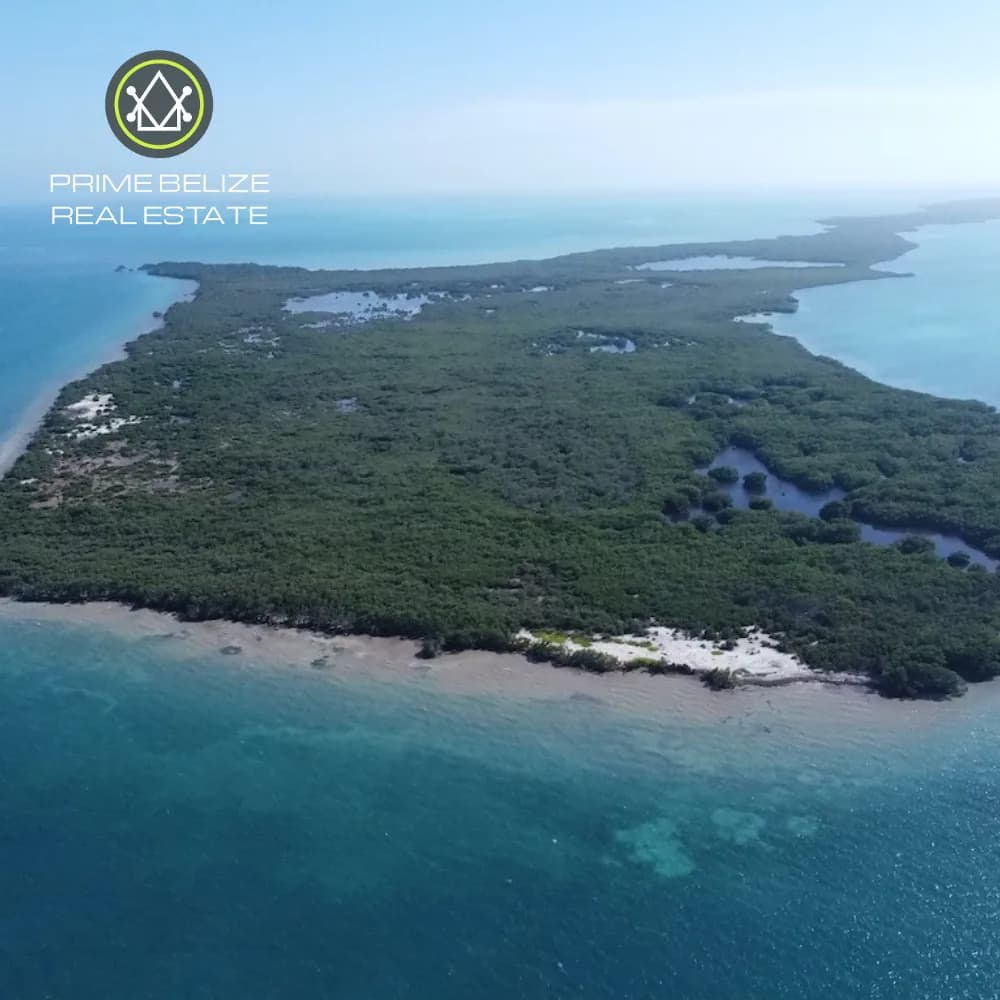 PI0034 – 51.516 Acres at Hicks Caye – A Rare Opportunity for Eco-Friendly Development - Photo 3