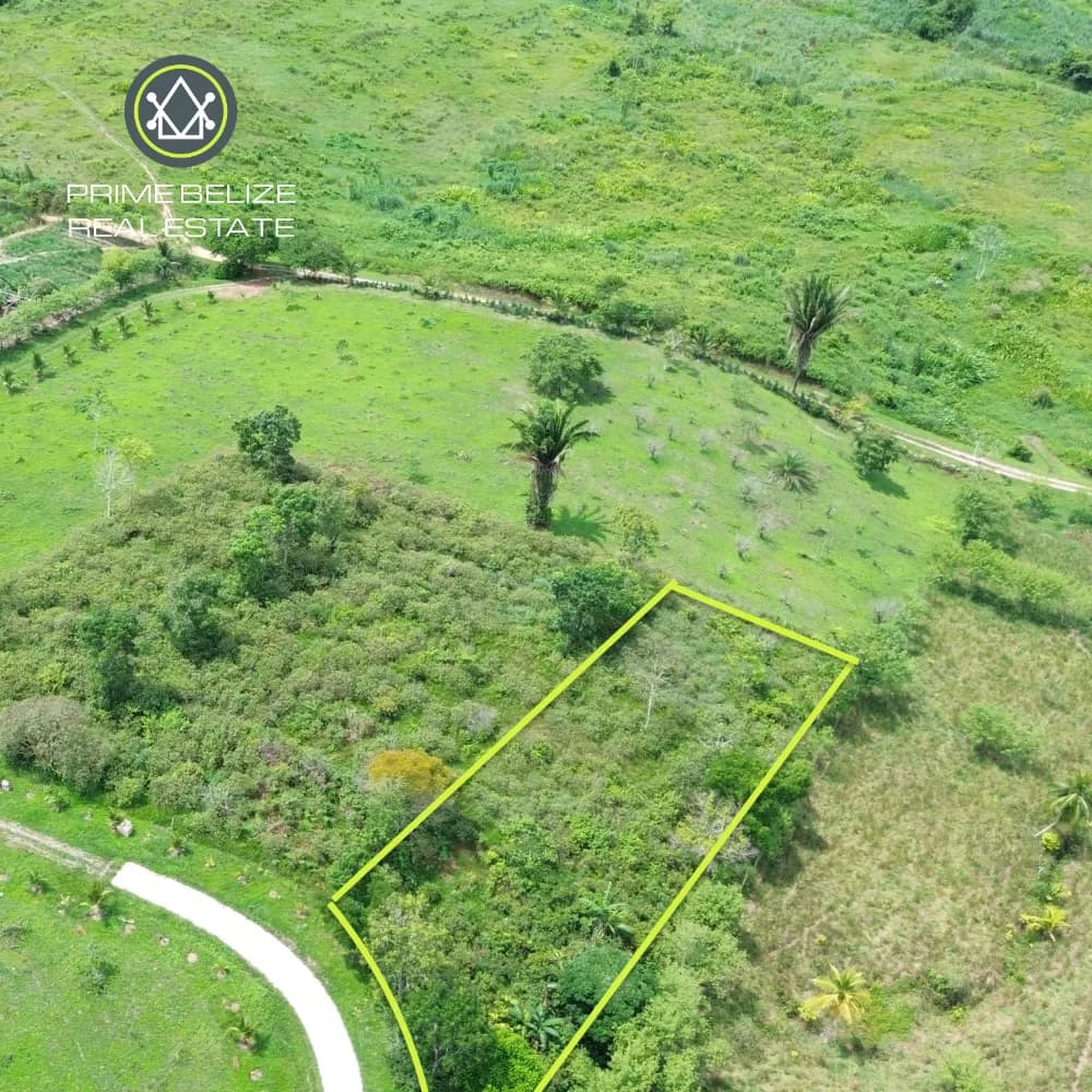 PL0234 – Private Gated Mountain View Lot for Sale off Hummingbird Highway, Middlesex, Belize