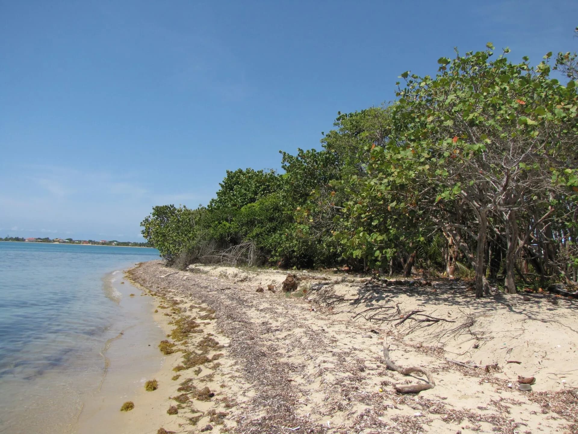 PL0109 – BEACHFRONT DEVELOPMENT – 350+ ft – DISCREET SALE - Photo 2