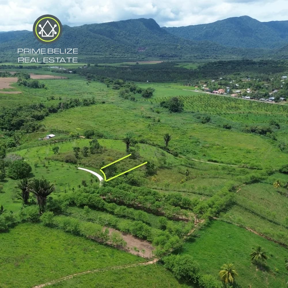 PL0234 – Private Gated Mountain View Lot for Sale off Hummingbird Highway, Middlesex, Belize - Photo 3