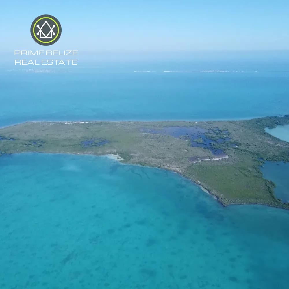 PI0034 – 51.516 Acres at Hicks Caye – A Rare Opportunity for Eco-Friendly Development - Photo 4