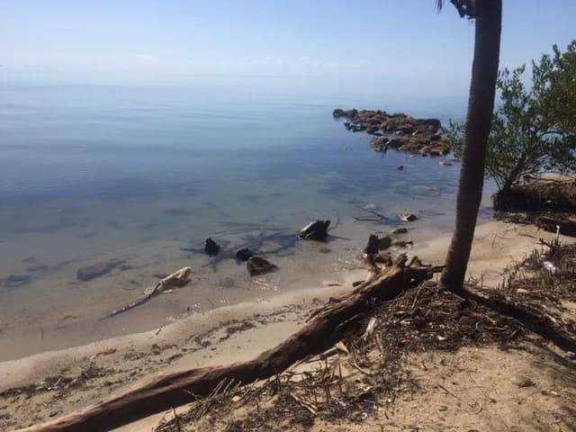 PL0098 – 1.15 Acre Prime Beachfront Property for Sale in Commerce Bight, Dangriga Town - Photo 7