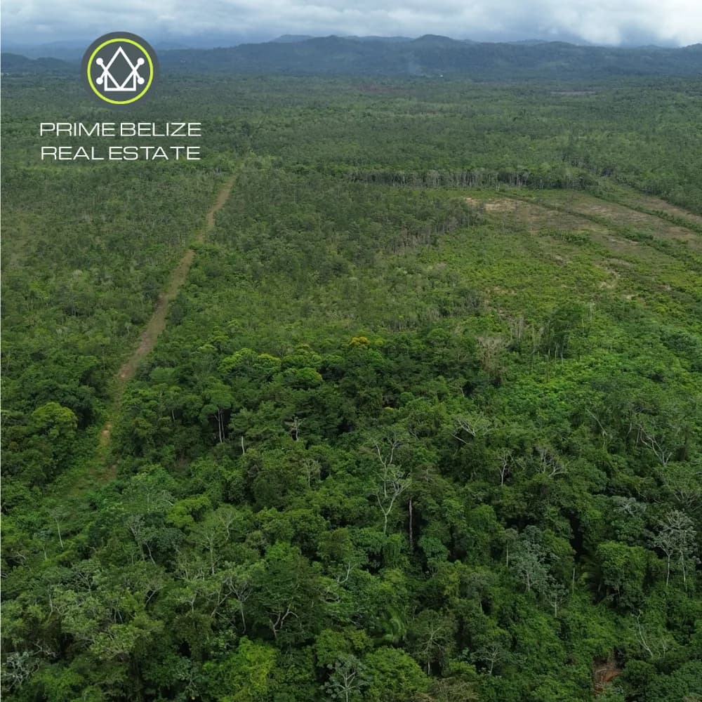 PF0067 – 100-Acre Commercial Farmland for Sale – Southern Highway, Belize - Photo 6