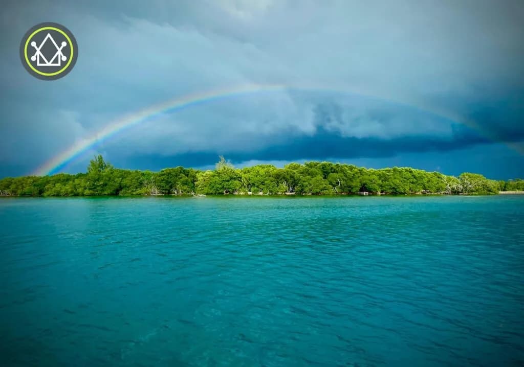 PI0011 – Driftwood Caye – A Pristine Private Island in a Protected Marine Park