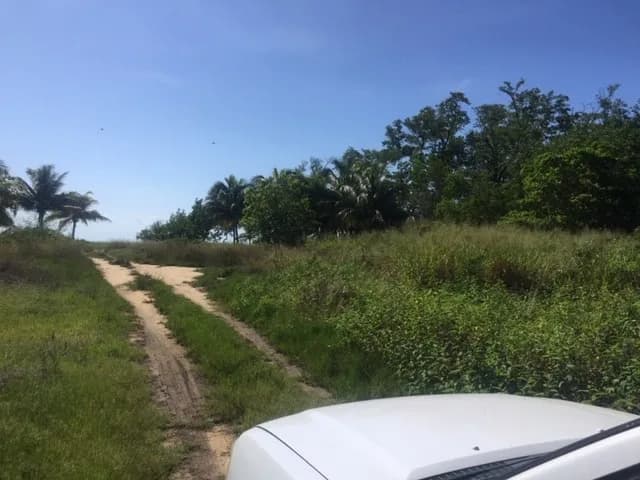 PL0098 – 1.15 Acre Prime Beachfront Property for Sale in Commerce Bight, Dangriga Town - Photo 6