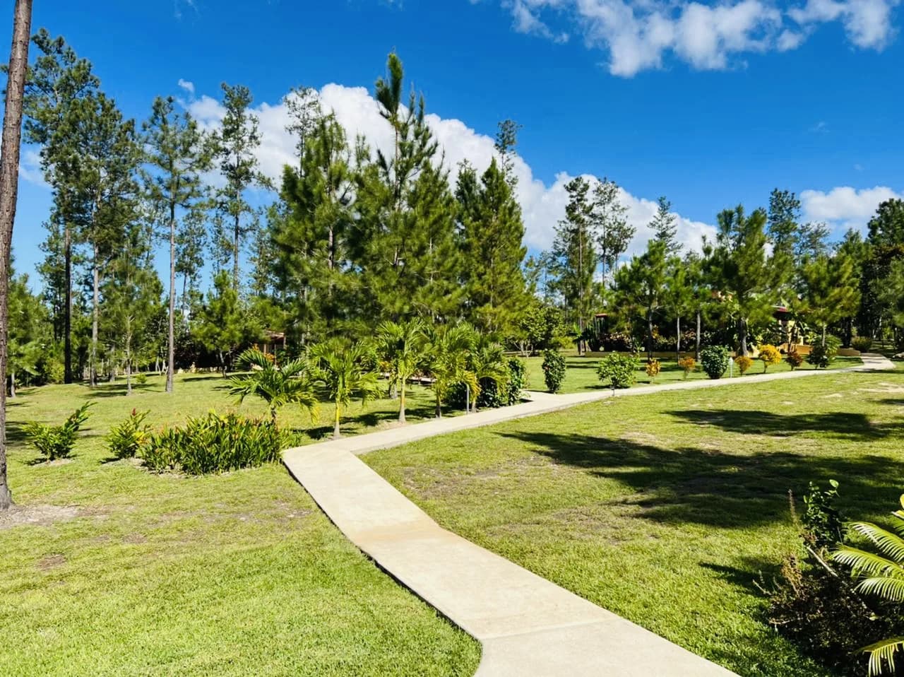 PB0011 – Turn-Key Property and Business – Mountain Pine Ridge, Cayo District - Photo 5
