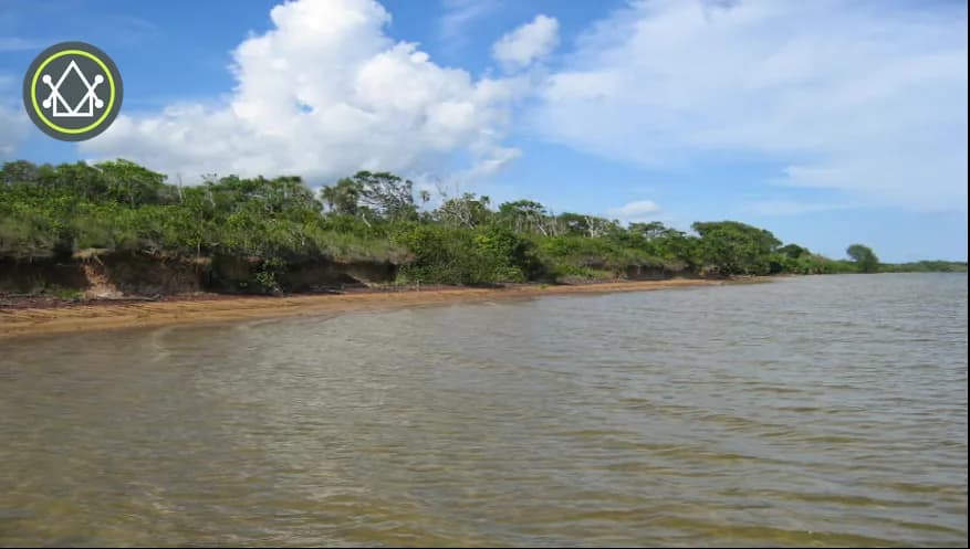 PL0172 – 200 Acres of Untouched Beachfront Near Sapodilla Lagoon - Photo 3
